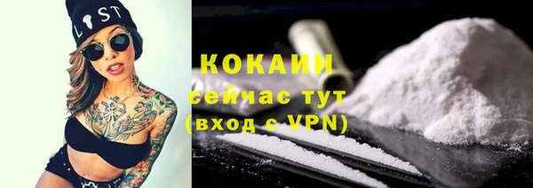 гашик Няндома