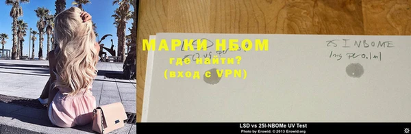 гашик Няндома