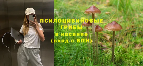 дурь Осташков